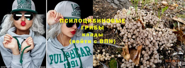 ГАЛЛЮЦИНОГЕННЫЕ ГРИБЫ Алзамай