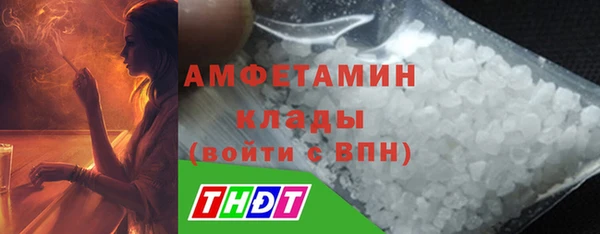 мет Алексин