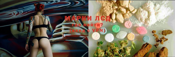 мет Алексин