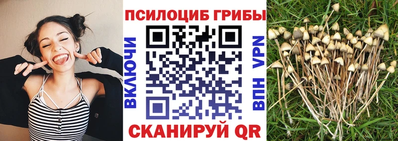 Псилоцибиновые грибы ЛСД Алексеевка